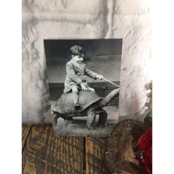 Reprint Photo Odd Bizzare Boy Riding Turtle Reprint Vintage - Picture 8 of 10